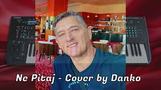 Ne Pitaj  Cover Danko [upl. by Aneerhs]