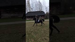 bow horse horsebackarchery archery archer horseback archerylifestyle [upl. by Farleigh6]