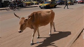 SERREKUNDA  GAMBIA [upl. by Aronid]