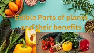 Edible Parts of plants and their benefits [upl. by Atcliffe]