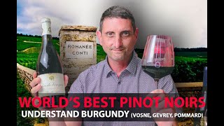 Finest Burgundy Wines  Your Guide to Top Pinot Noirs  VosneRomanée Pommard GevreyChambertin [upl. by Aytak]