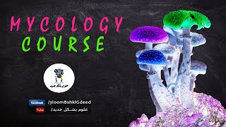 محاضرات كورس علم الفطريات Mycology  محاضرة 9 Oomycetes [upl. by Ahterod]