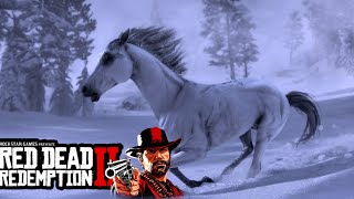 THE WHITE ARABIAN HORSE  Red Dead Redemption 2 Part 60 [upl. by Ivey325]