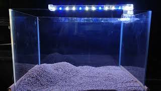 Nano Tank Aquascape Ideas  How to Decorat Nano Tank With Artificial Plant🌱 aquascape fishtank [upl. by O'Hara301]