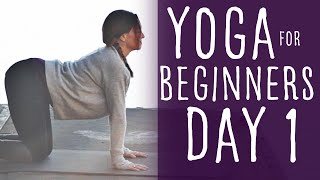 Yoga For Beginners at Home 15 minute 30 Day Challenge Day 1 [upl. by Yspyg681]