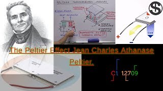 The Peltier Effect In Full Detailed [upl. by Menedez905]